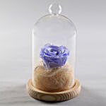 Lavender Blue Forever Rose In Glass Dome