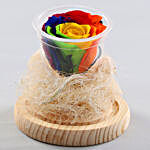 Mystic- Forever Rainbow Rose In Glass Dome