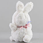 Adorable Hanging Bunny Soft Toy
