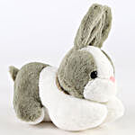 Cute Bunny Soft Toy