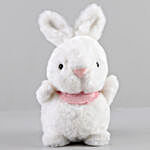 Adorable Hanging Bunny Soft Toy