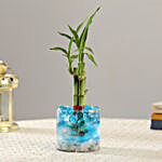 3 Layer Bamboo Plant With Jelly Balls