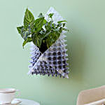 Foliage Plant Combo In White Foldable Planter