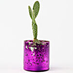 Mickey Mouse Cactus In Purple Glass Vase