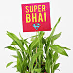 Super Bhai 2 Layer Bamboo With Beaded Rakhi