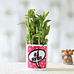 2 Layer Lucky Bamboo Plant For No 1 Sis