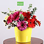 Bucket Of Gerbera & Statice Flowers