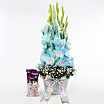 Elegant White Gladiolus With Chocolates
