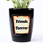 White Pothos In Friend's Forever Pot