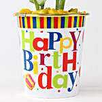 Starbright Plant In Colourful Birthday Pot