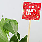 Money Plant & Rakhi Combo For Bhaiya Bhabhi