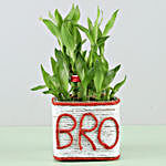 Two Layer Bamboo Plant For Bro