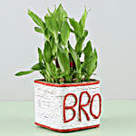 Two Layer Bamboo Plant For Bro