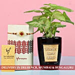 Syngonium Plant & Rakhi For Best Bhai