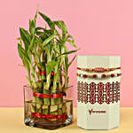 2 Layer Bamboo Plant & Designer Rakhi Set