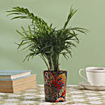 Chamaedorea Plant with Printed Ceramic Vase