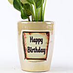 Money Plant In Ceramic Pot For Birthday