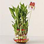 3 Layer Bamboo Plant For Best Wife