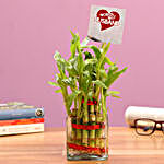 2 Layer Bamboo Plant For Best Husband