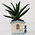 Aloe Vera Plant In White Seaside House Planter