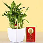 2 Layer Lucky Bamboo With Free Laxmi Ganesh Coin