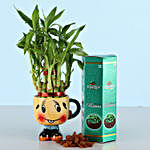 Raisins & 2 Layer Lucky Bamboo Plant