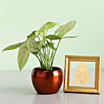Syngonium Plant & Gold Plated Foil Ganesha