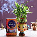 Cadbury Celebrations & 2 Layer Lucky Bamboo Plant