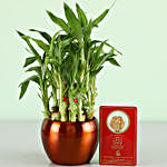 Free Gold Plated Coin With 2 Layer Bamboo Brass Pot