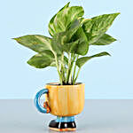 Money Plant Smiley Pot & Cashews