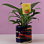Peace Lily Plant In Pink & Blue Pot
