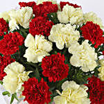 Lovely Red & Yellow Carnations