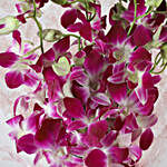 6 Royal Orchids Bunch