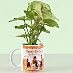 Personalised Birthday Wishes With Syngonium Plant