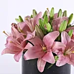 Pink Asiatic Lilies In FNP Signature Box