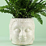 Fern Compacta Plant In Zen Buddha Head Pot