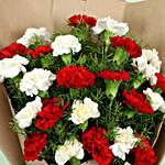 Timeless Love Carnations