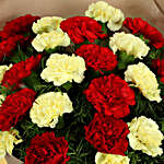 Vibrant Carnations Bouquet