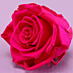 Hot Pink Forever Rose & Mocha Caramello Combo