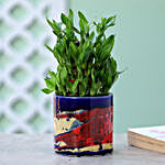 3 Layer Bamboo Plant In Blue Pink Pot