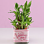 Valentine's Day 2 Layer Bamboo Plant
