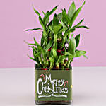 2 Layer Bamboo Plant Christmas Wishes