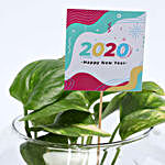Money Plant New Year Wishes