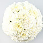 Pure Love Carnations
