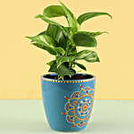 Gold King Money Plant in Hand Painted Mandala Planter