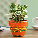 Money Plant with Painted Planter
