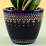 Sansevieria Plant in Hand Painted Dot Planter
