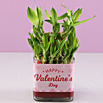 Valentine'e Greetings 2 Layer Bamboo Plant
