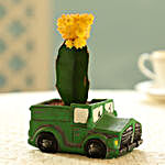 Moon Cactus In Green Pot
