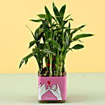 2 Layer Bamboo Plant For Promise Day